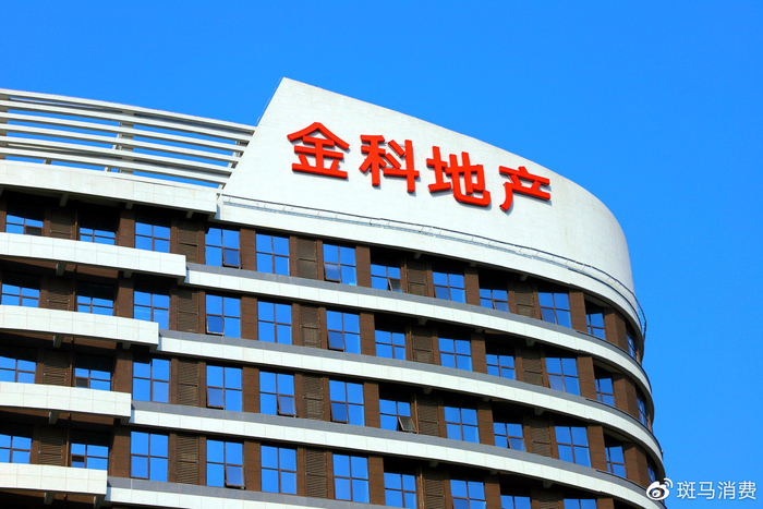 千亿金科，走向重整？|金科股份|金科|黄红云_新浪新闻