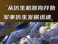 军事仿生技术，从仿生机器狗开始，各型仿生机器人相继问世