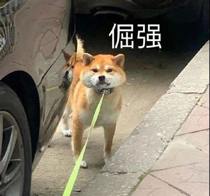 超可爱沙雕表情包,不容错过!