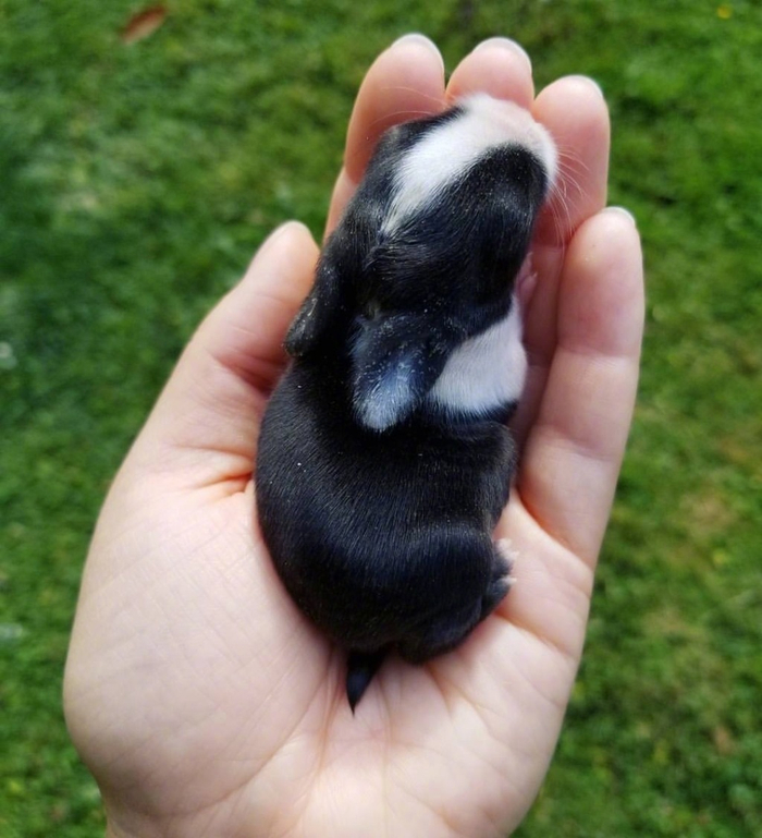 早安~__财经头条