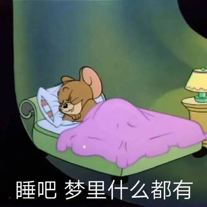 表情包 | 睡吧 梦里什么都有 拿图点赞,吱声