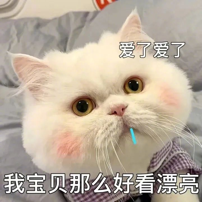 情侣污污坏坏的表情包! 拿图请吱一声~ 更多表情包看我主页!__财经头条