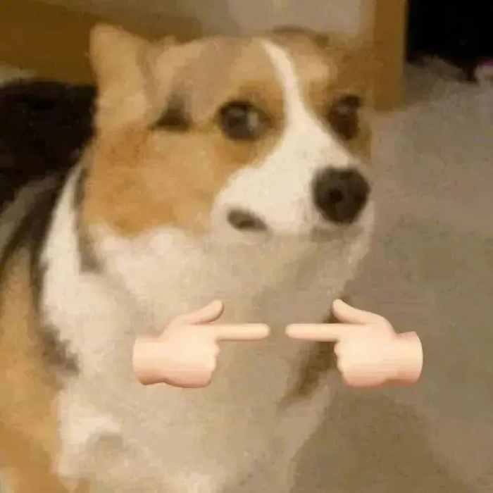 憨憨的表情包:拍~宝快上来 拿图请顺便吱一声 很难有动力发图了