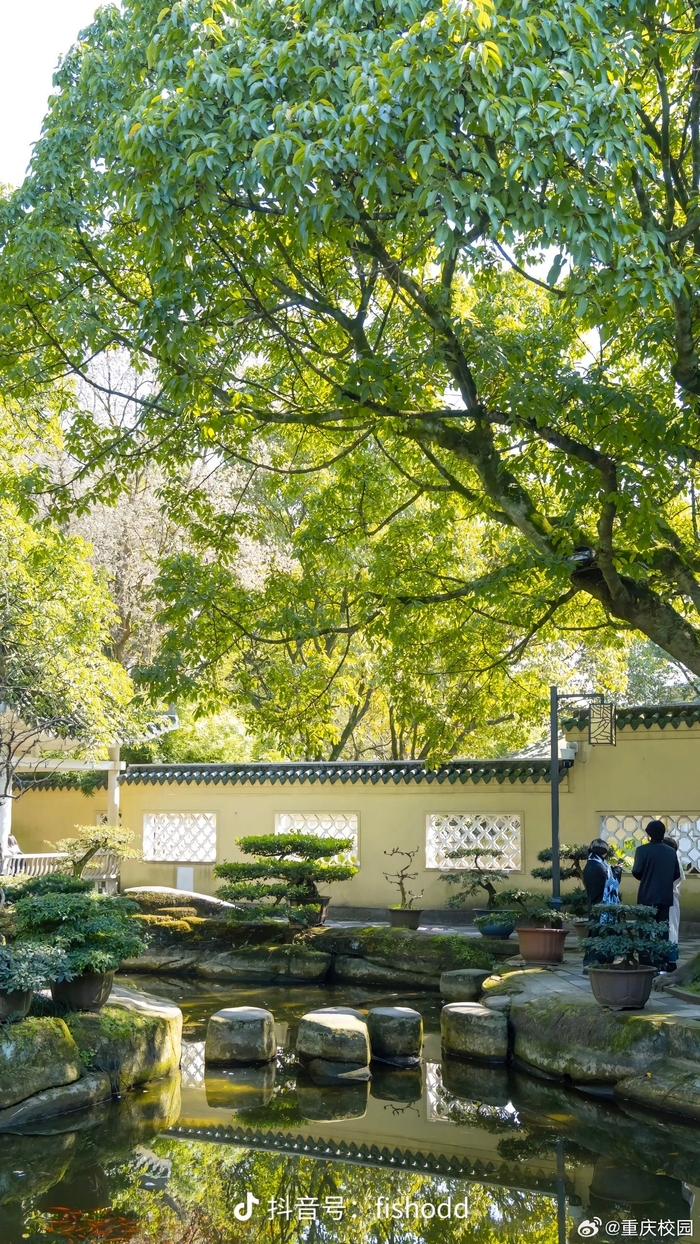 春日限定重庆鹅岭公园等你来漫步其中感受花开的温暖聆听鸟鸣的和谐