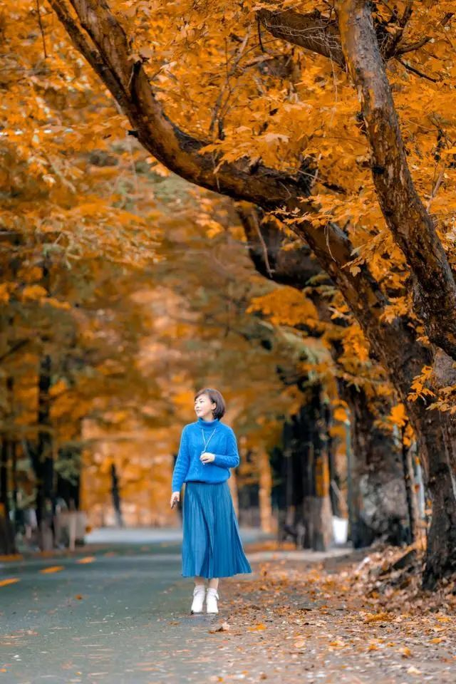 中老年人拍暖秋人像这7个姿势技巧可以学拍照好看有意境