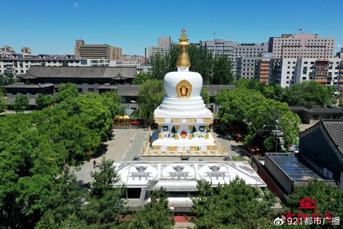 【2024爱沈阳·春天花正开】沈阳东塔 景上添花