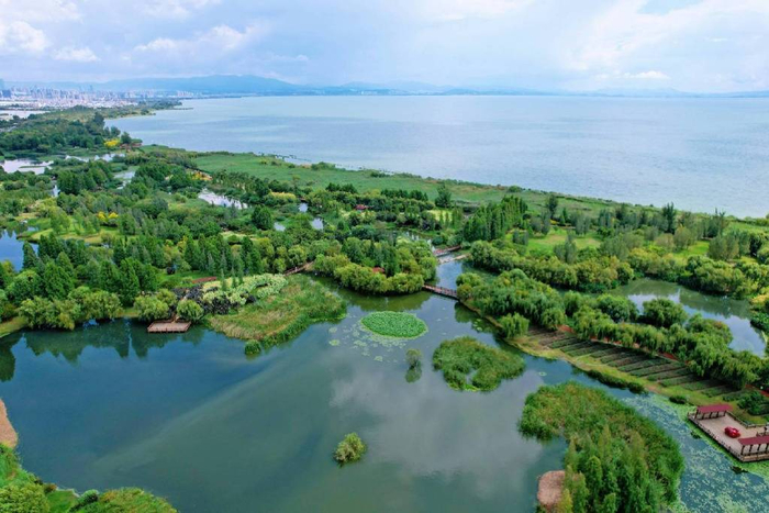 昆明有一处宝丰湿地,环境优美,风景如画,是城市city walk好去处
