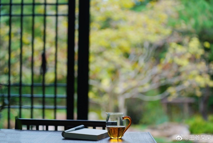 享受秋凉，品茗听雨，待枫红……