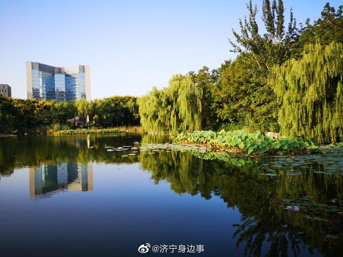 济宁市百花公园图片