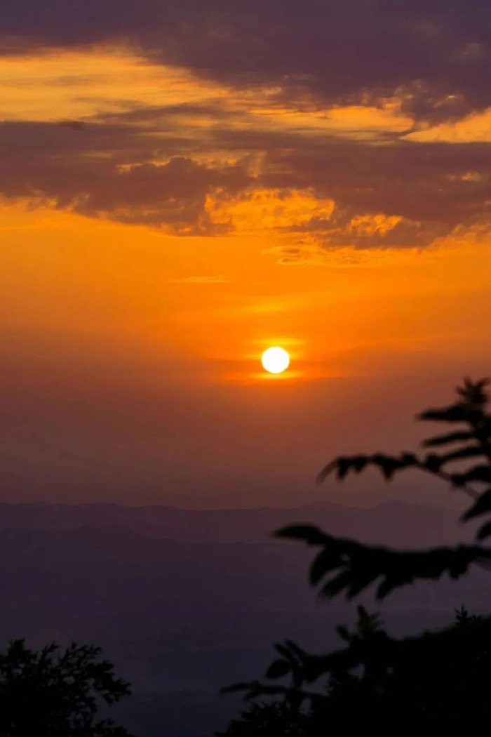 长沙,长红城市!游客:"下刀子"都要来