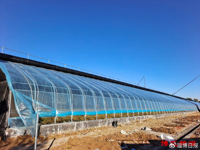 张店区北黄村大棚建设点亮农民增收新希望