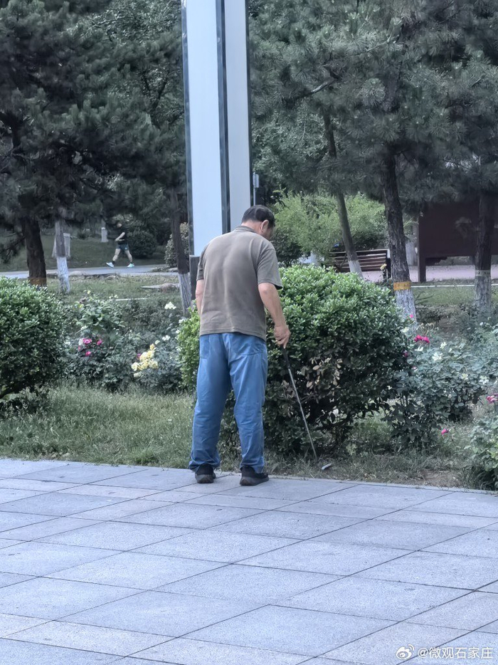 公园掠影,话说图二大爷打高尔夫92991569♀15的姿势拿捏的