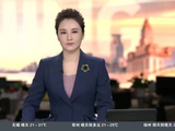 湖南张家界：“空中F1”翼装竞速 澳大利亚选手夺冠