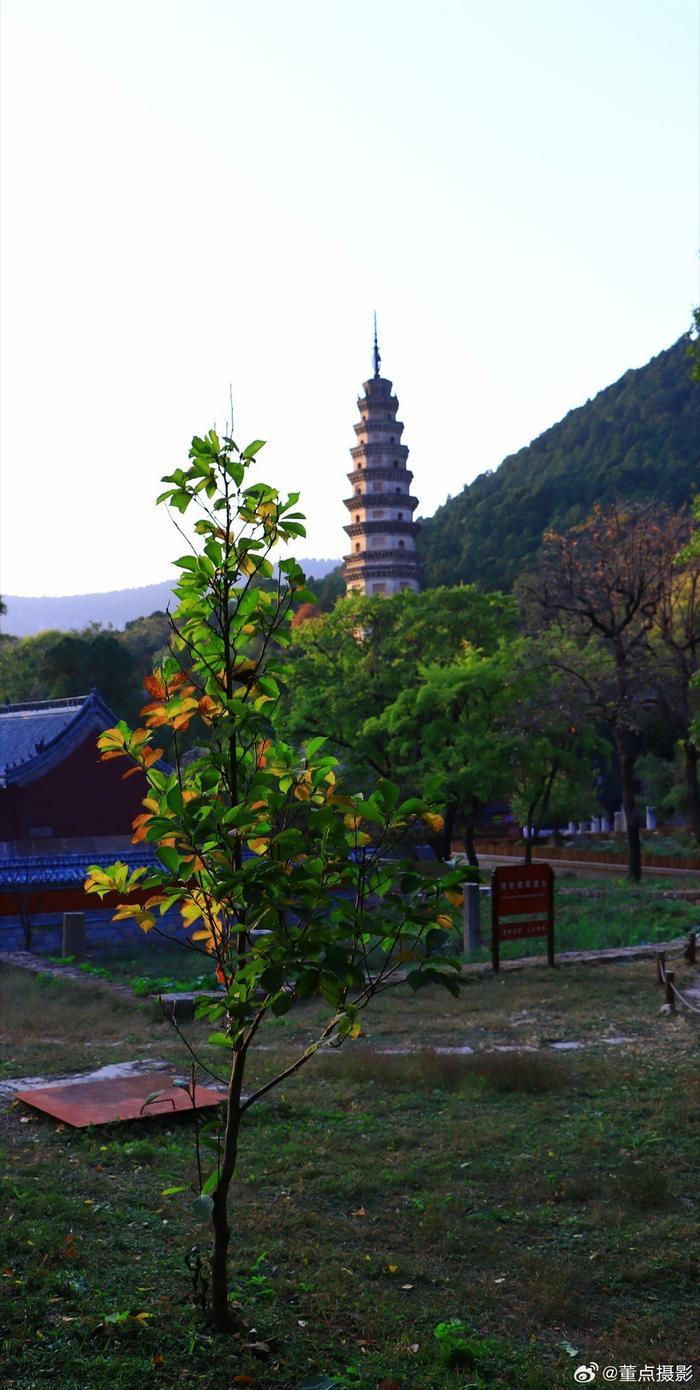 济南市文化和旅游局 @文旅山东 @新浪旅游 67济南大灵岩寺不止有