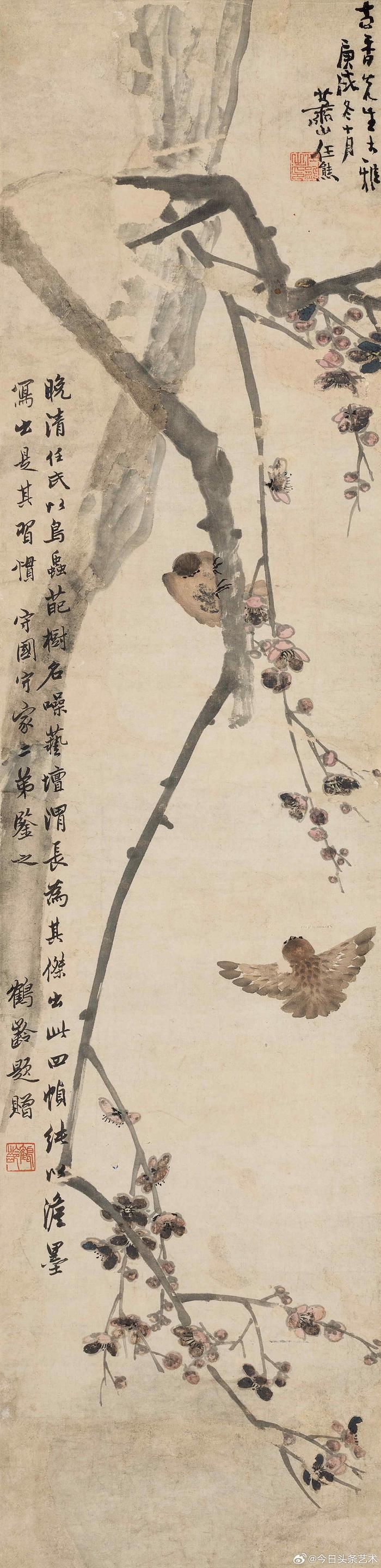 清代花鸟画的代表画家图片