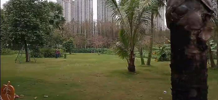 广东湛江的南国热带花园，就像来到东南亚一样