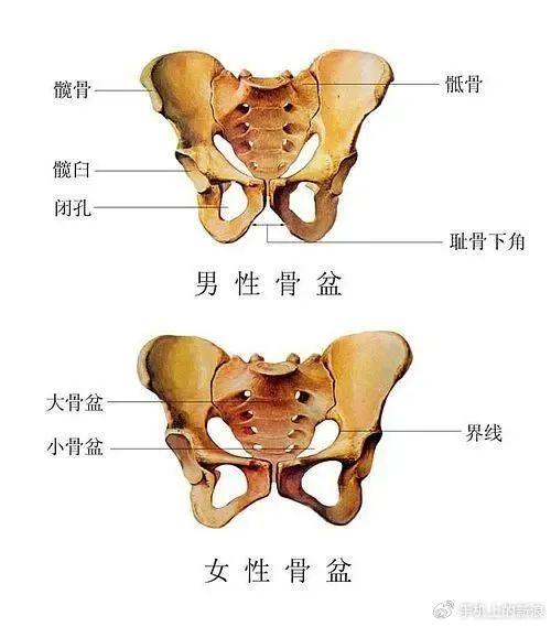 裤缝经常跑偏的人,你的骨盆可能已经歪了