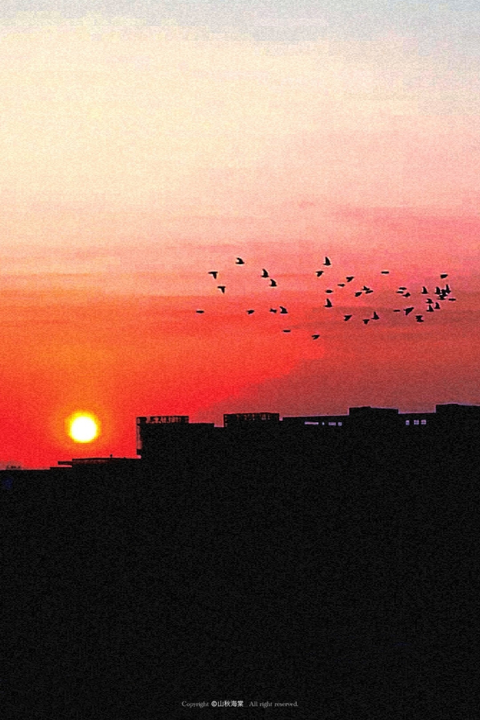 落日飞车的勃艮第红