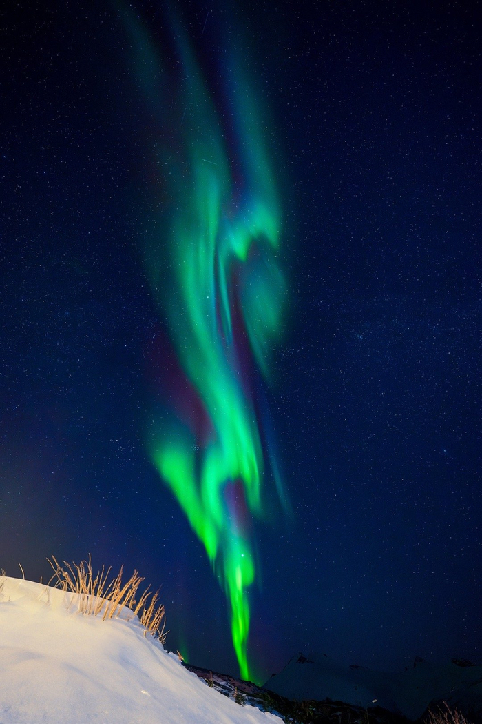 7级极光来了今夜罗弗敦夜空中的极光绽放的如此绚目