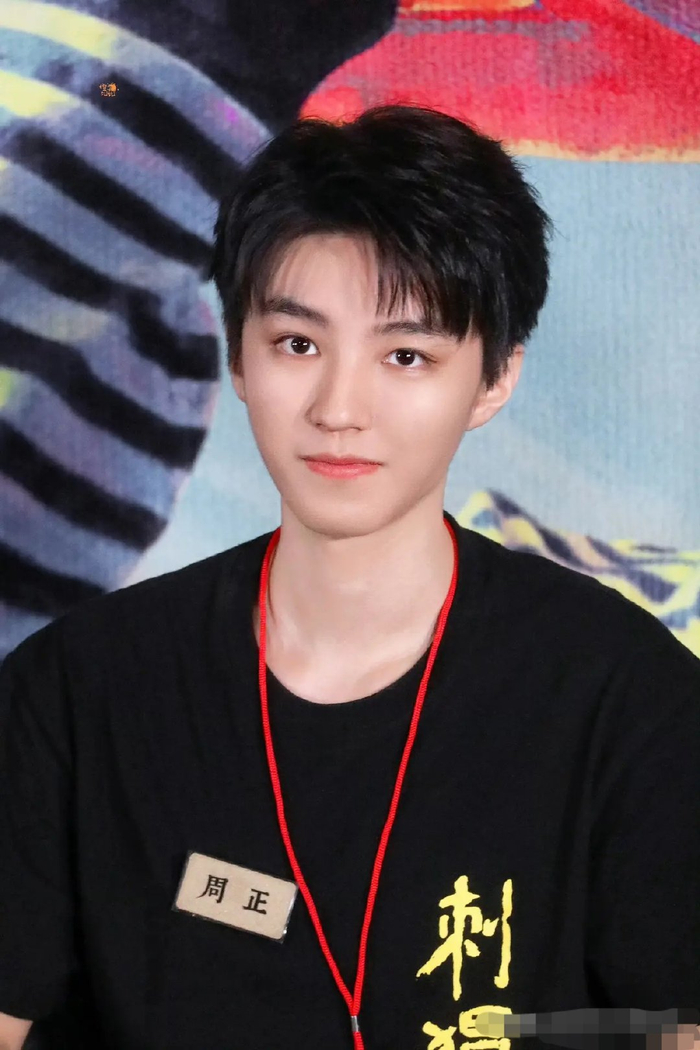 梦幻同框:全红婵与王俊凯的《刺猬》首映礼奇缘