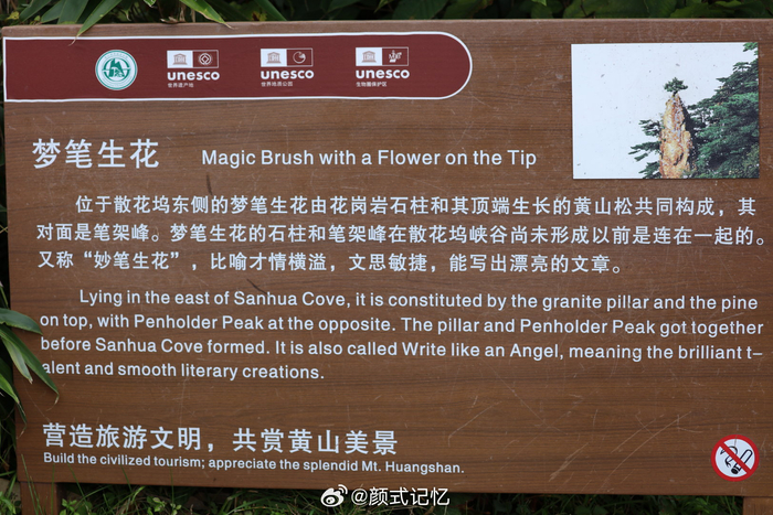 "梦笔生花"(妙笔生花)一一黄山"奇松",游安徽省黄山风景区