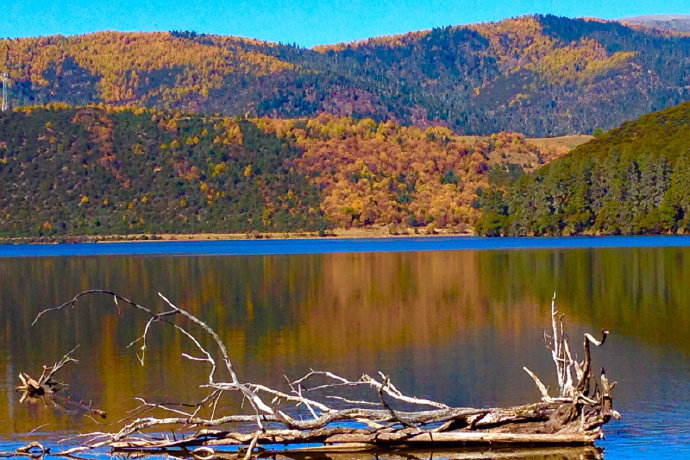 云南香格里拉普达措