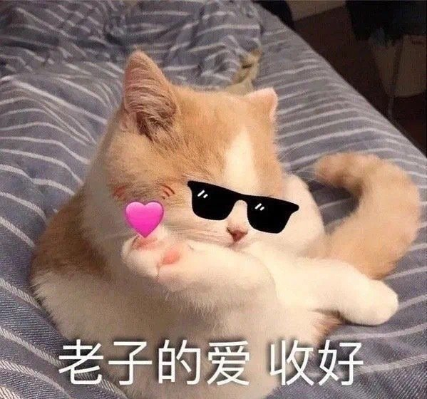 有趣好玩的聊天表情包又增加啦