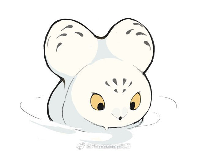 呆萌可爱的雪鸮bfhiyoratory