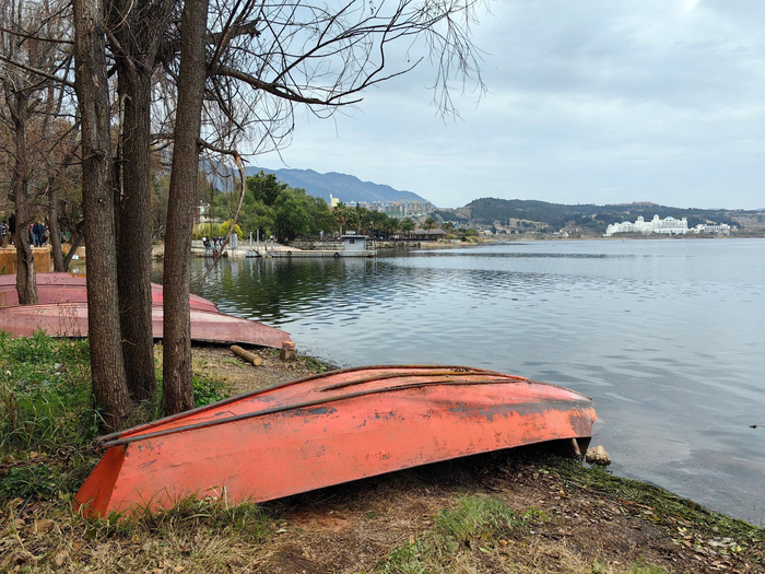 宜良阳宗海春节期间游人很多但服务远不到位