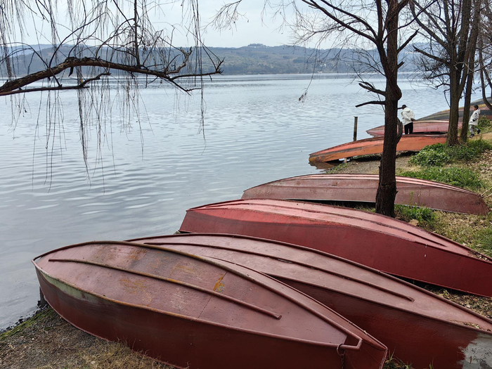 宜良阳宗海春节期间游人很多但服务远不到位