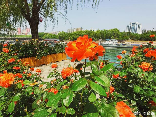 漯河市沙澧河风景区！江山风月，本无常主，闲者便是主人