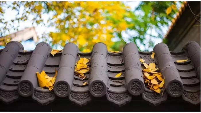 原创|玄学提醒：不要让任何人去你家，切记，任何人