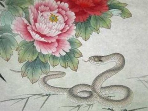 好运如潮水，夏日好事多，近期能在事业上遇见额外喜讯的生肖