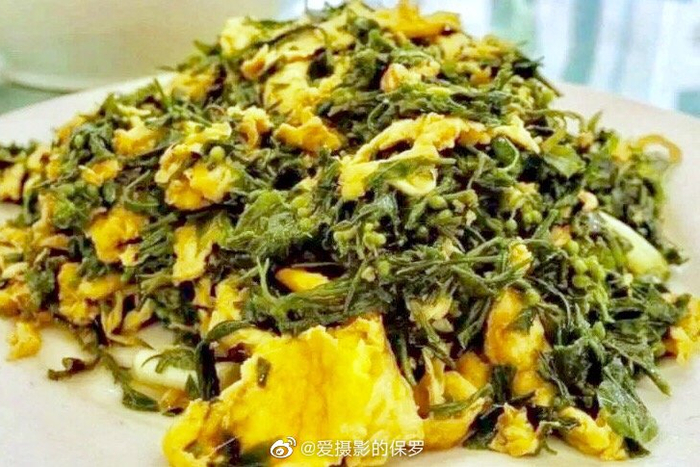 省沽油（别名：珍珠花）落叶灌木，枝条开展