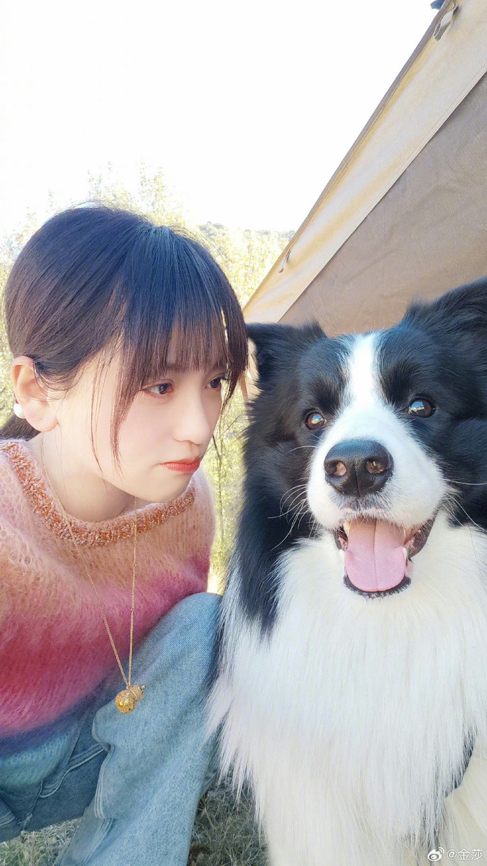 金莎染了粉紫色渐变啊,好漂亮的发色,像芋泥啵啵蛋糕一样甜