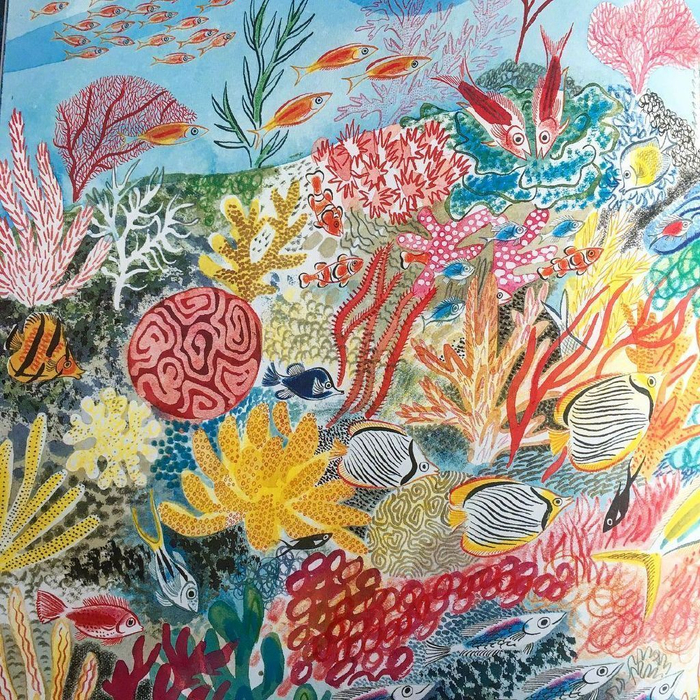 英国插画师emilysutton笔下生动有趣的水彩绘画