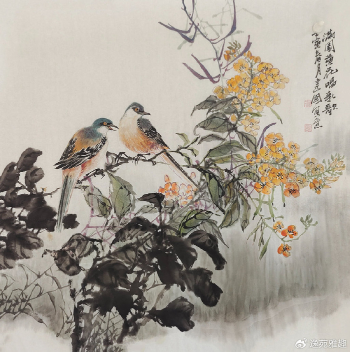 诗意翩跹,雅致唯美,花鸟生辉|施建国|花鸟画|花鸟_新浪新闻