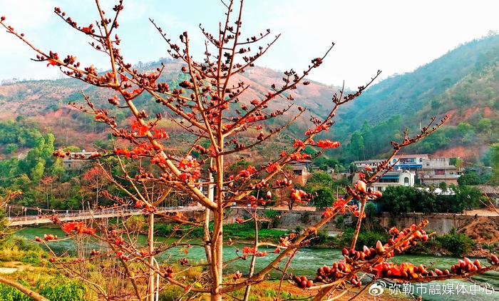 攀枝花美景图片图片