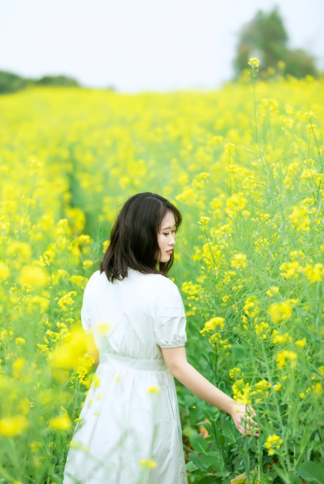 壁纸 成片种植 风景 婚纱 婚纱照 植物 种植基地 桌面 662_988 竖版