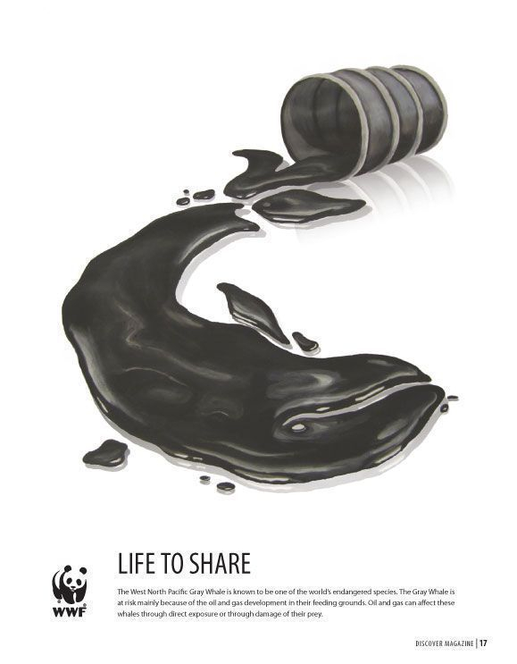 震撼人心 世界自然基金会（WWF）公益海报