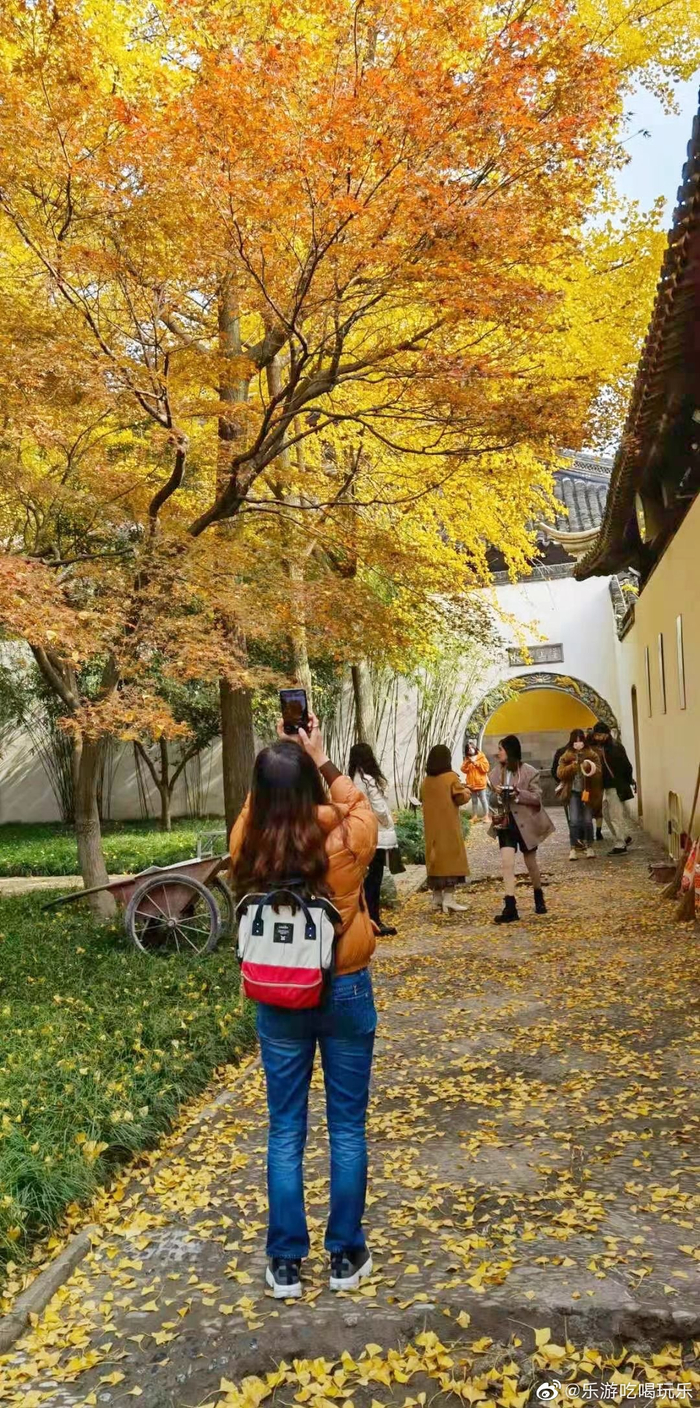 西园戒幢律寺,简称西园寺,是一座有着七百多年历史的古刹