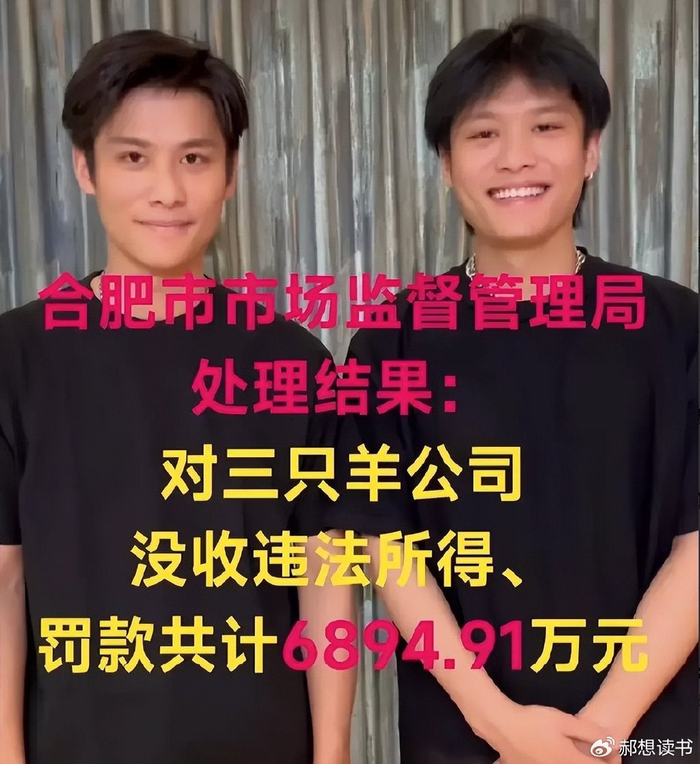 调查结果出炉!三只羊被罚6894万,幕后保护伞被揪出,卢总录音系合成|合肥市|行业慰问金|整改|直播带货|安徽省_新浪新闻