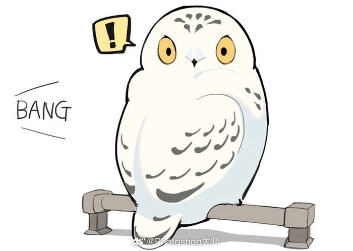 呆萌可爱的雪鸮 bf_hiyoratory