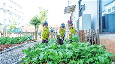 创新自然教育课  促幼儿自主成长