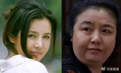 “断崖式衰老”的6位女明星,老了之后,简直判若两人|王澜|过把瘾|倪萍|陈岚|关之琳_新浪新闻