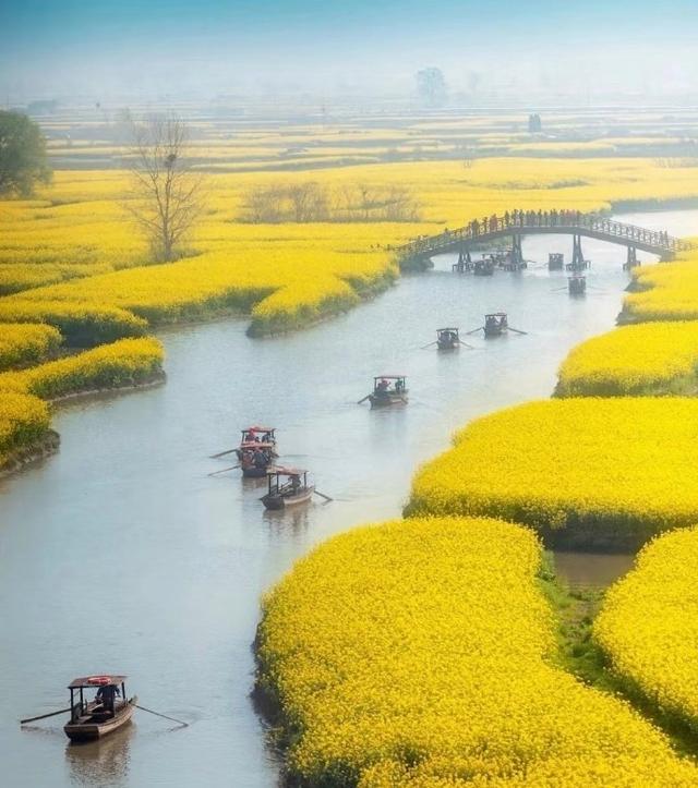 船在水上行，人在花中游