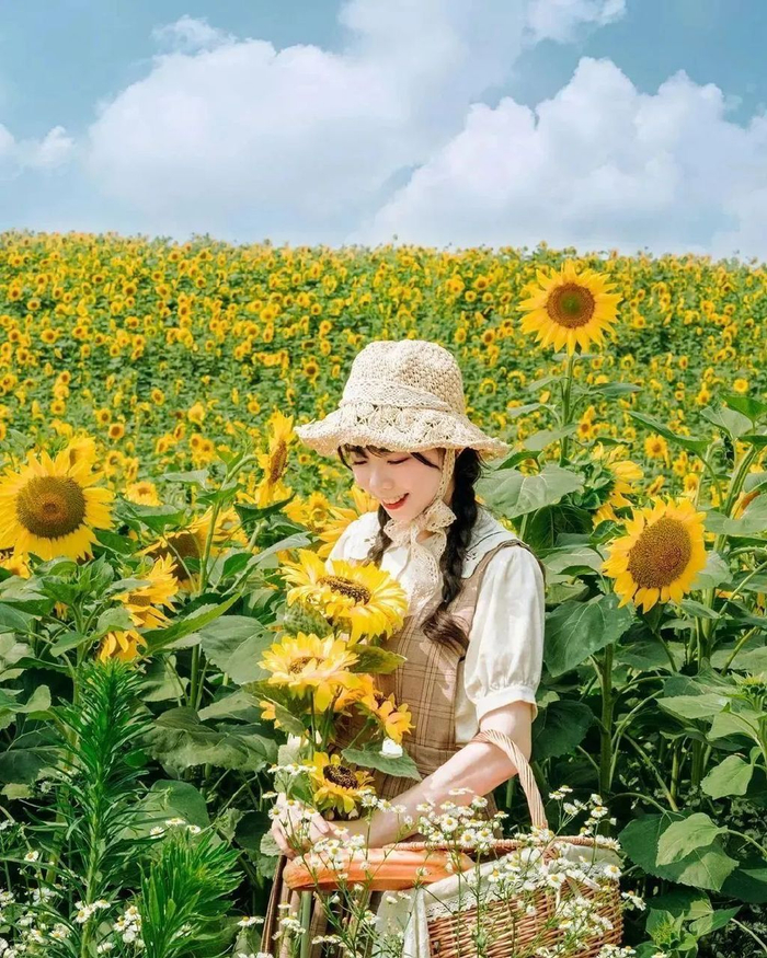 向日葵人像拍摄技巧,收好这份拍摄攻略,拍照景美人更美|花海|拍摄