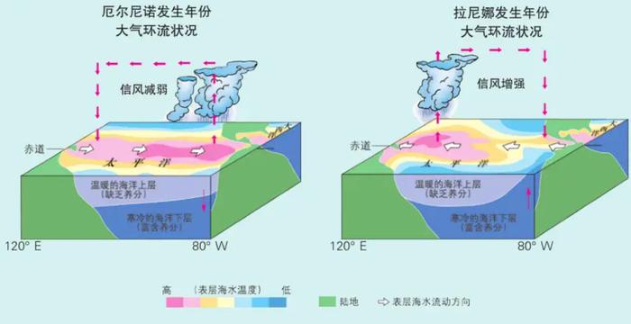 厄尔尼诺现象示意图图片