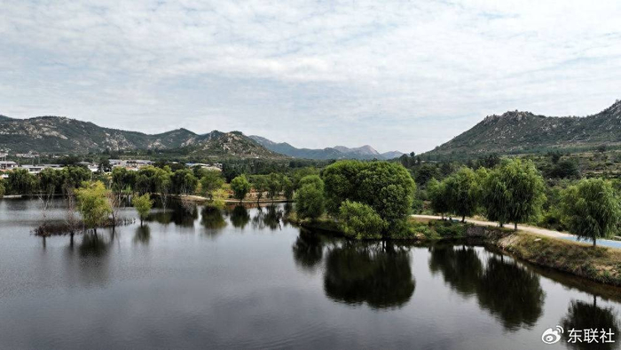 走进宁阳葛石镇"好运枣园",品尝地道的"不老枣"|宁阳|葛石镇|枣园