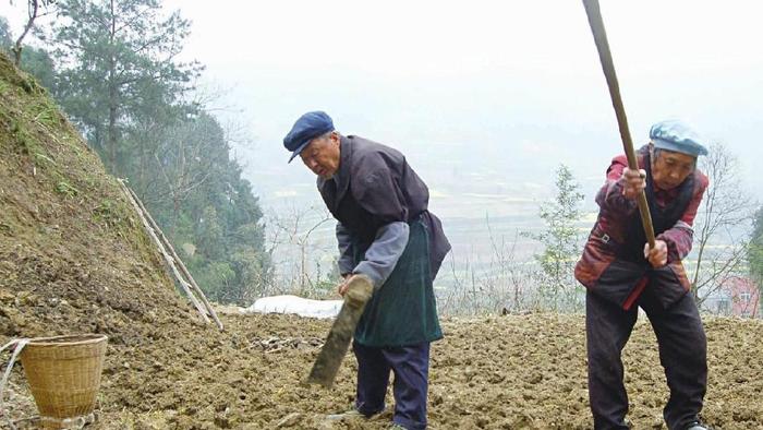 农村这10种怪现象越来越严重，几乎村村都有，看看你们村占有几种